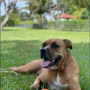 Meet your Posher, Alexey